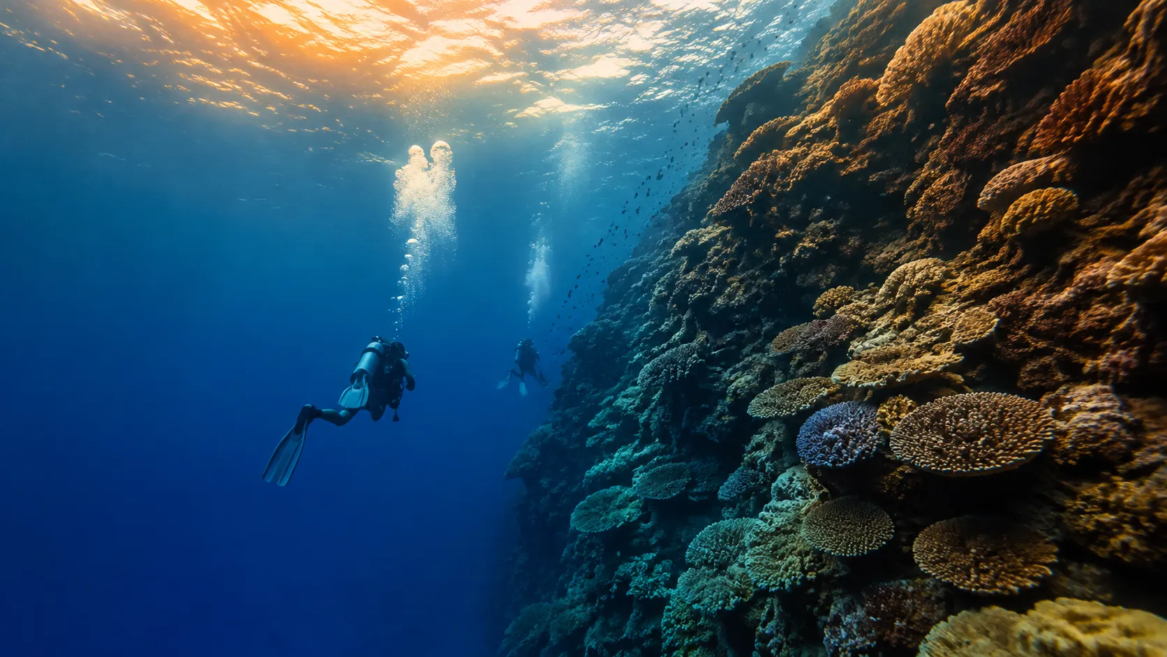 Tubbataha Reefs scuba diving